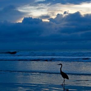 Meet your Posher, Steven